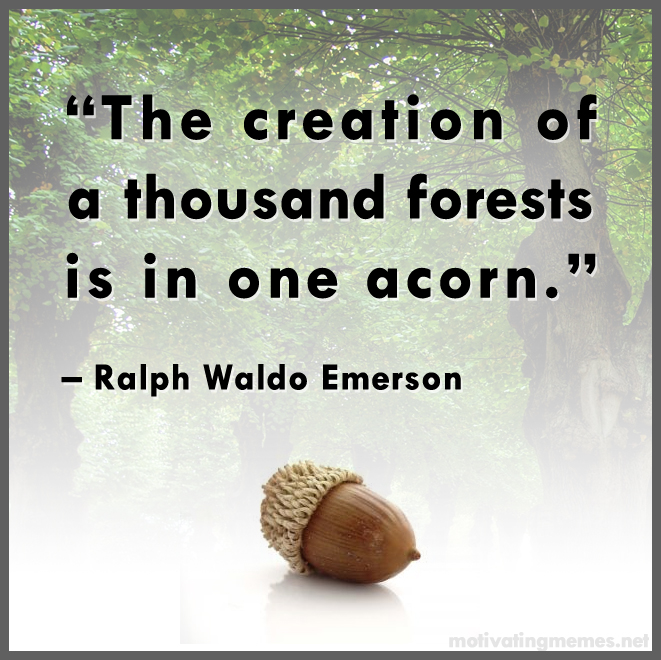 The creation of a thousand forests is in one acorn.
